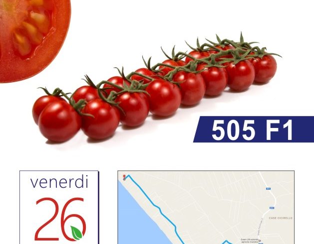 VVIBES: greenhouse tomato showcase